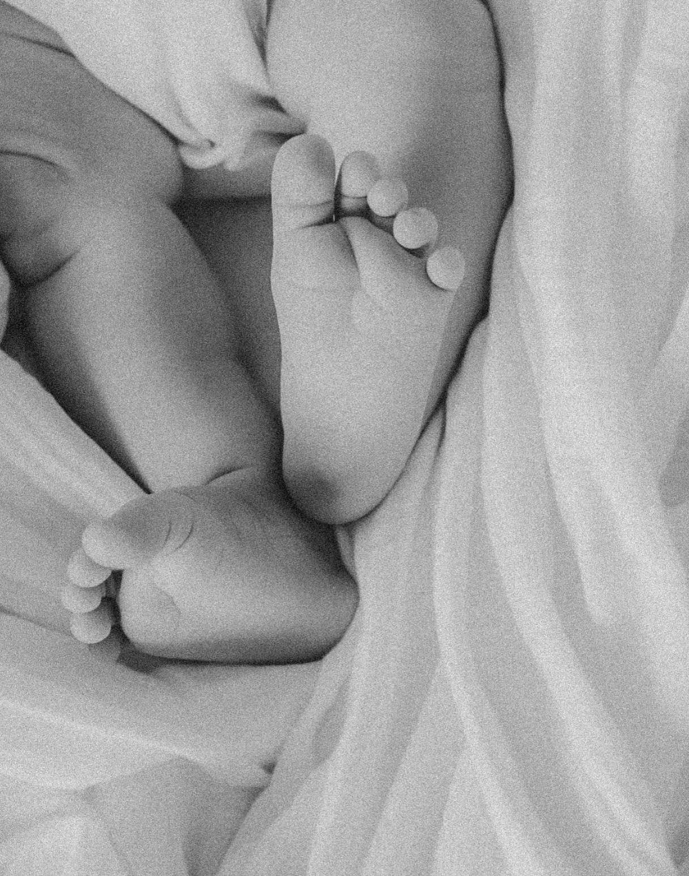 Elisa services images